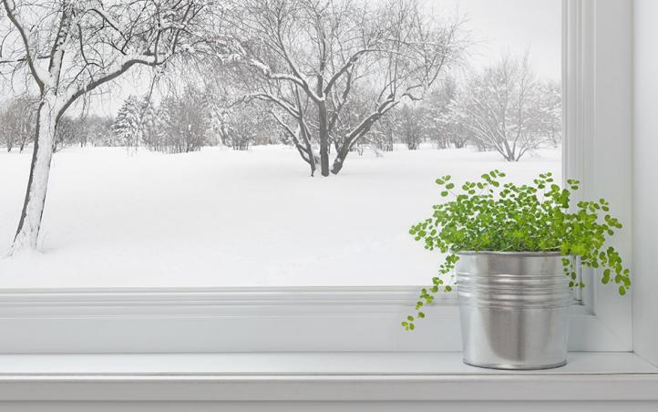 Five Tips for Winter-Proofing Your Windows and Doors